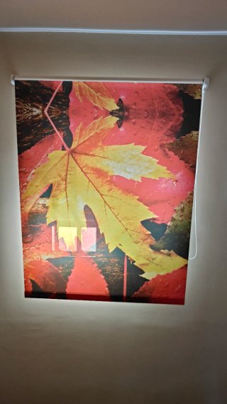 Estor con diseño de hojas de otoño