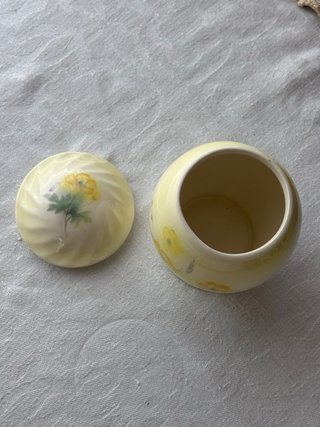 Tarro Palissy Royal Worcester Spode Vintage