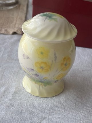Tarro Palissy Royal Worcester Spode Vintage