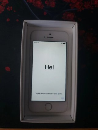iPhone SE Plata