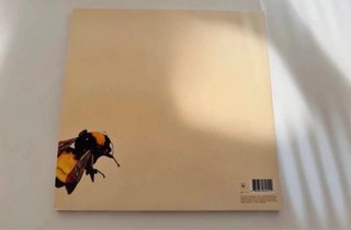 Vinilo Flower Boy Tyler The Creator
