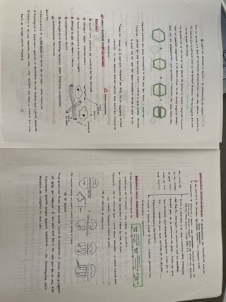 Classes de repàs estiu / clases de repaso verano