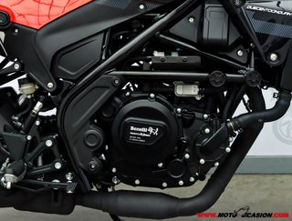 BENELLI LEONCINO 250 -APTA A2-