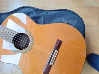 Guitarra Alhambra 3C