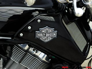HARLEY-DAVIDSON VRSC V-ROD MUSCLE