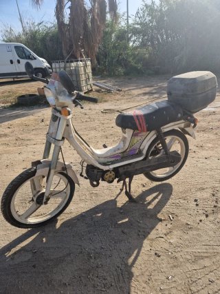 Derbi Variant Blanca