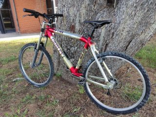 BICICLETA TOP LINE GRISLEY ALU 490