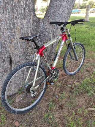 BICICLETA TOP LINE GRISLEY ALU 490
