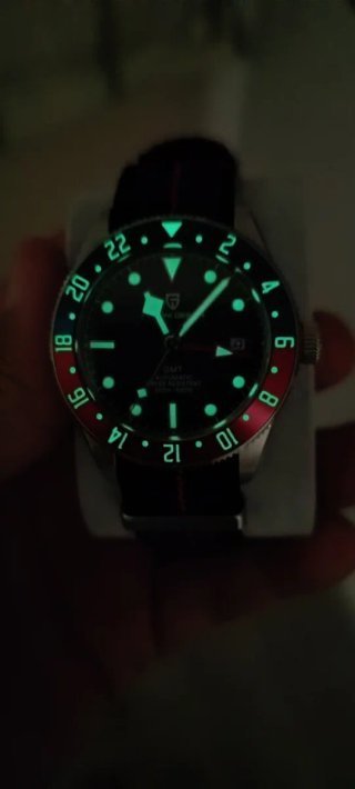 Reloj Pagani Design GMT Automático