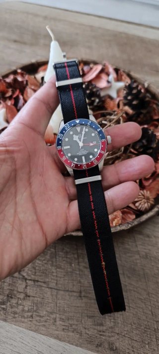 Reloj Pagani Design GMT Automático