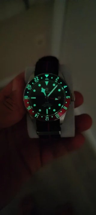 Reloj Pagani Design GMT Automático