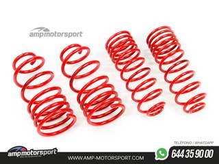MUELLES DEPORTIVOS MTS TECHNIK MTSXMM009