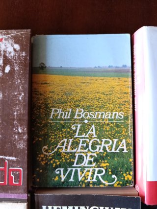 Lote libros variados