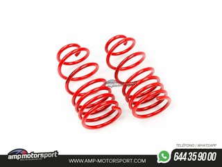 MUELLES DEPORTIVOS MTS TECHNIK MTSXBM083