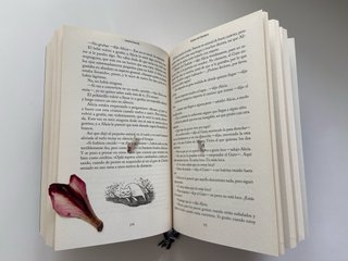 El Gran Libro de los Gatos