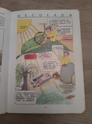 Observatorio ciencias de la naturaleza, 8 E.G.B.