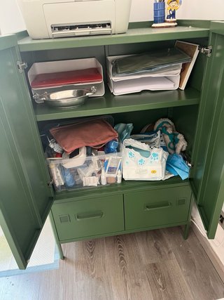 Armario Metálico Ikea Verde Oscuro