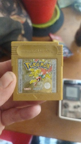 Pokemon Oro Game Boy Color Nintendo RPG