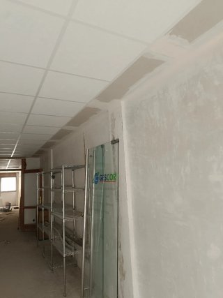 Pintor Profesional Presupuesto En Menos de un día