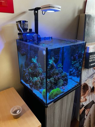 Acuario Marino Sera Completo + Mueble
