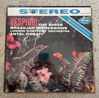 6 Vinilos para Sergio