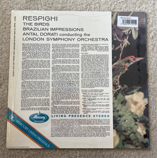 6 Vinilos para Sergio