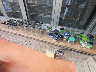48 Botes de Conserva Vidrio Tapa Negra