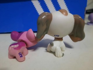 Littlest Pet Shop Cocker Spaniel LPS