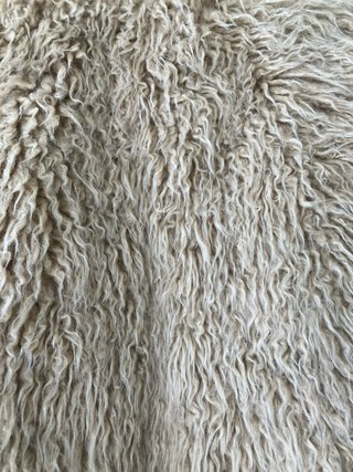 Chaleco Zara pelo sintético bordado
