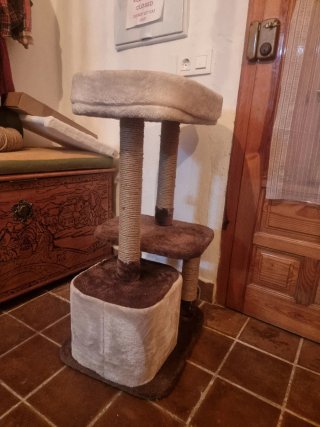 Árbol rascador para gatos