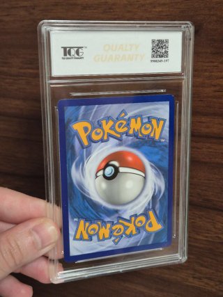 Pokémon Graded 9.5 Mint+ TQG | Pack 3 Cartas