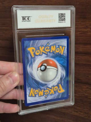 Pokémon Graded 9.5 Mint+ TQG | Pack 3 Cartas