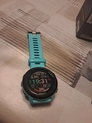 Garmin Forerunner 55 Reloj GPS