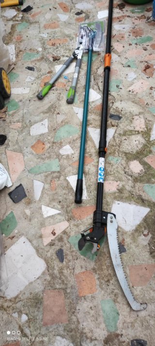 Forbici da potatura estensibili e seghetto