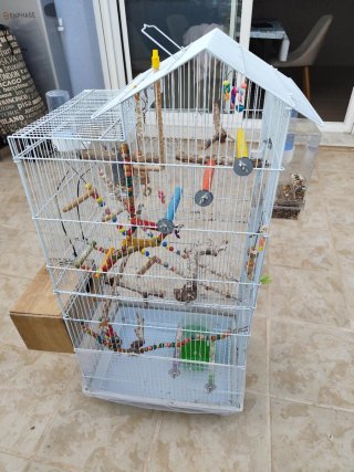 Jaula para pájaros con accesorios