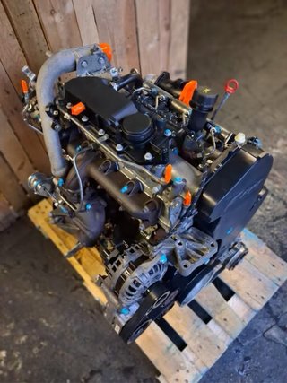 Motor Fiat Ducato 2.3 JTD F1AE3481D