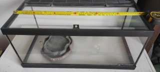 Acuario terrario con bebederos