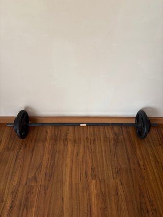 Barra gimnasio con discos 20kg