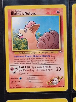 Carte dei Pokémon - Gym Heroes
