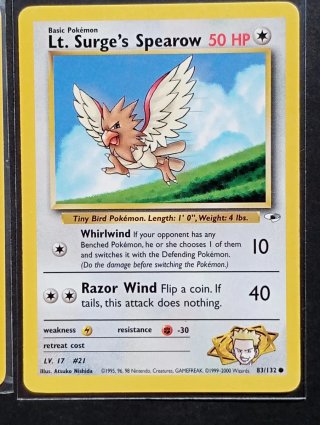 Carte dei Pokémon - Gym Heroes
