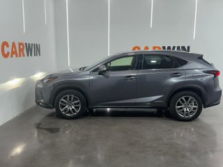 Lexus NX 2.5 300h Executive Navigation 4WD