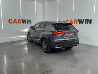 Lexus NX 2.5 300h Executive Navigation 4WD