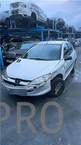 Motor Completo Peugeot 206 (1998->)
