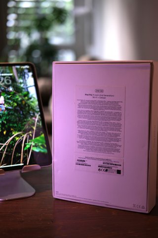 iPad Pro 11 2ª Gen (2020) 256GB WiFi