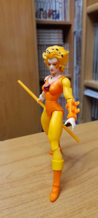 Masters of the Universe x Thundercats Cheetara