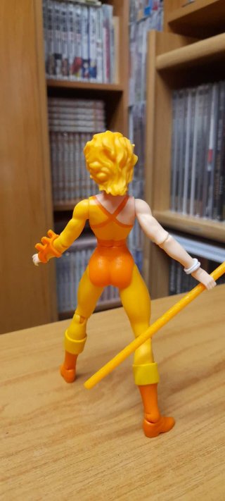 Masters of the Universe x Thundercats Cheetara