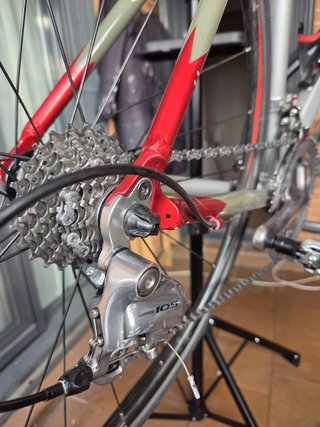 Orbea Asphalt Talla M