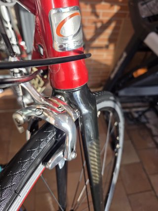 Orbea Asphalt Talla M