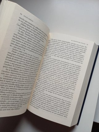 NUEVO El amante del volcán - Susan Sontag