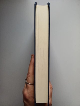 NUEVO El amante del volcán - Susan Sontag